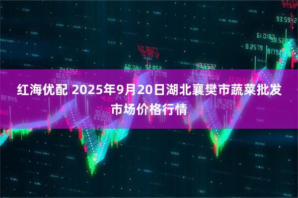 红海优配 2025年9月20日湖北襄樊市蔬菜批发市场价格行情