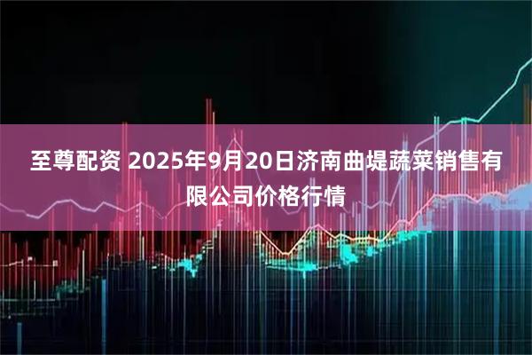 至尊配资 2025年9月20日济南曲堤蔬菜销售有限公司价格行情