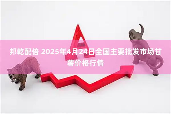 邦乾配倍 2025年4月24日全国主要批发市场甘薯价格行情