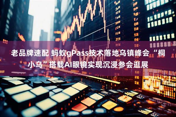 老品牌速配 蚂蚁gPass技术落地乌镇峰会 “桐小乌”搭载AI眼镜实现沉浸参会逛展