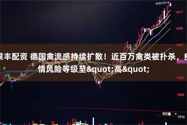 银丰配资 德国禽流感持续扩散！近百万禽类被扑杀，疫情风险等级至"高"