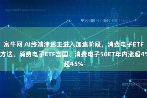 富牛网 AI终端渗透正进入加速阶段，消费电子ETF易方达、消费电子ETF富国、消费电子50ET年内涨超45%